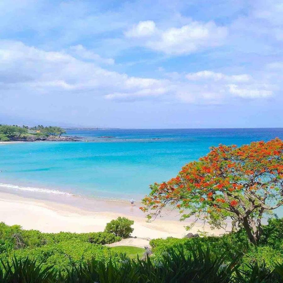Appartement Family Friendly Bay View Ac Free Parking Walk To Village Kailua-Kona