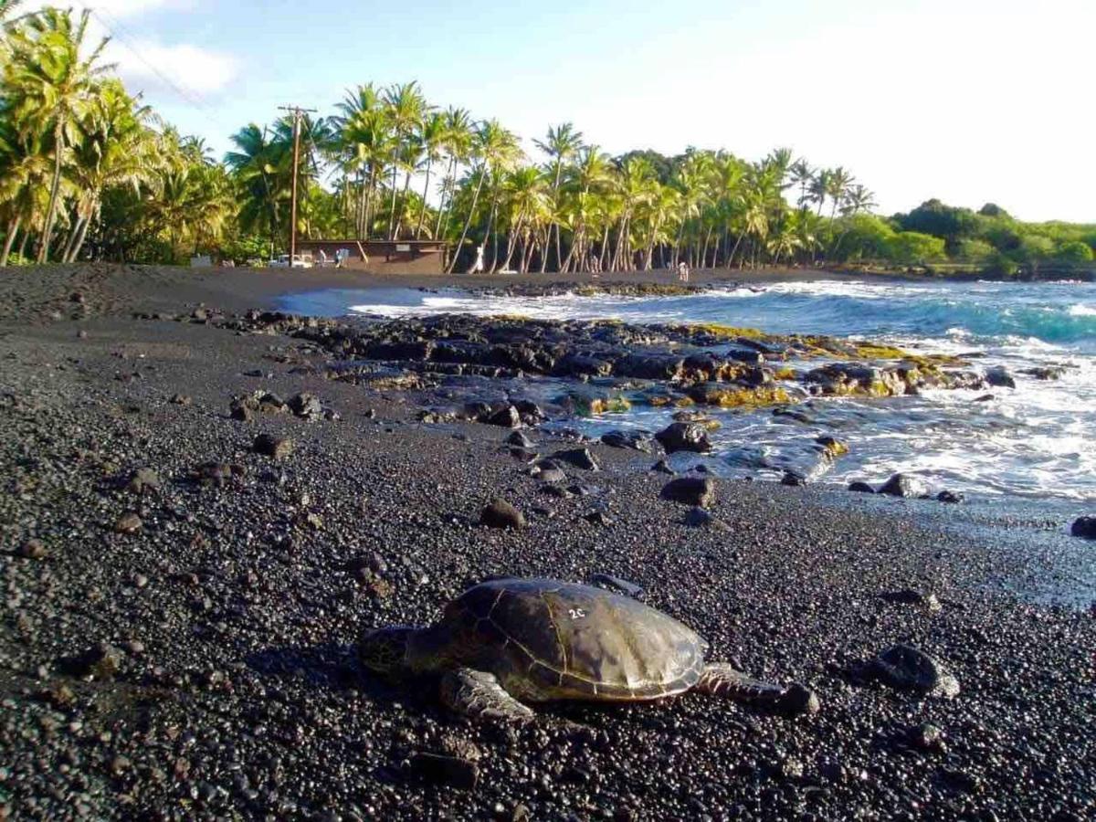 Family Friendly Bay View Ac Free Parking Walk To Village Kailua-Kona